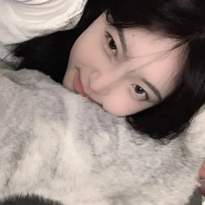 猫狗大战3:爪爪集结!