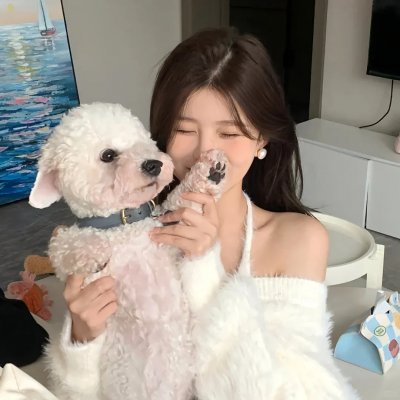 冒牌刺客